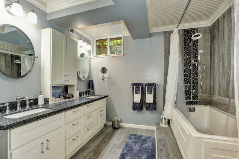 Master Bathroom Remodels